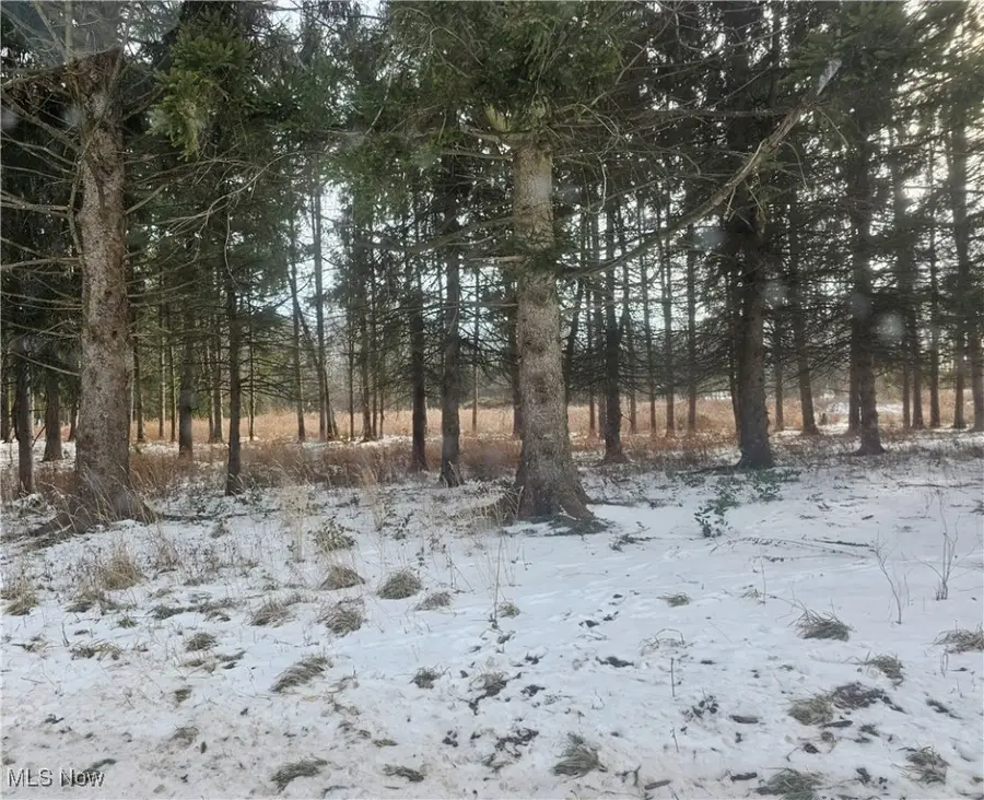 246 Ridgewood Road, Medina, OH 44256 - Image #2