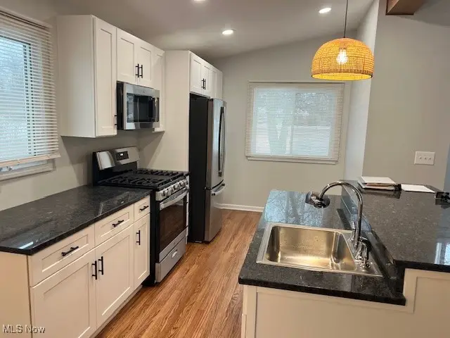 9109 Johnnycake Ridge Road, Mentor, OH 44060 - Image #2