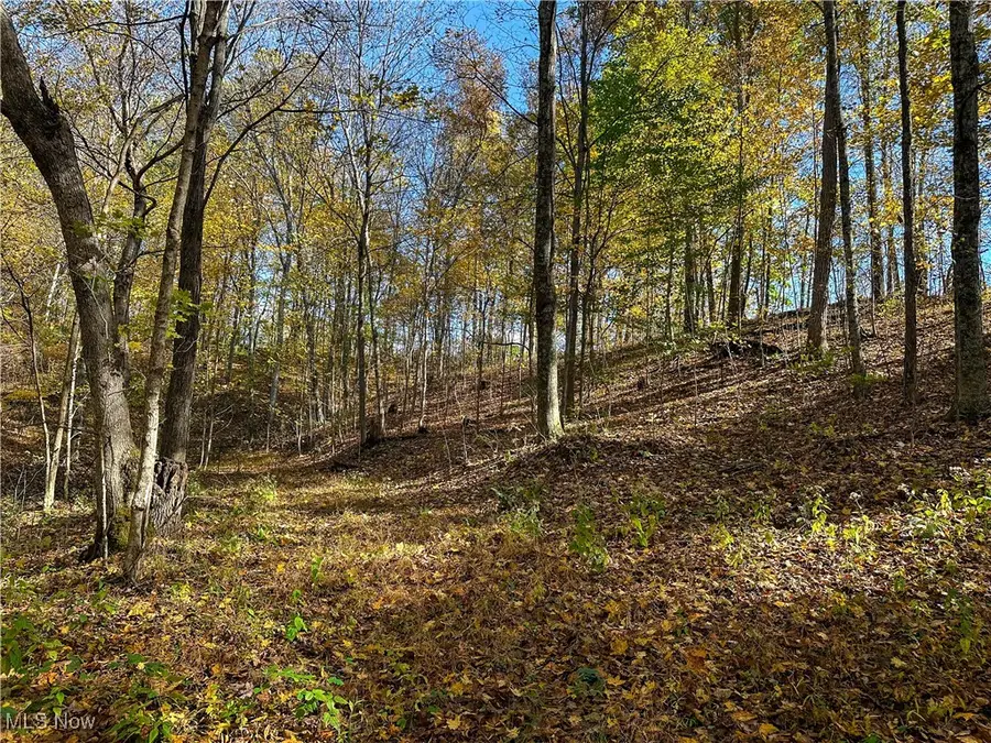 0 Clark Road, Cutler, OH 45724 - #2