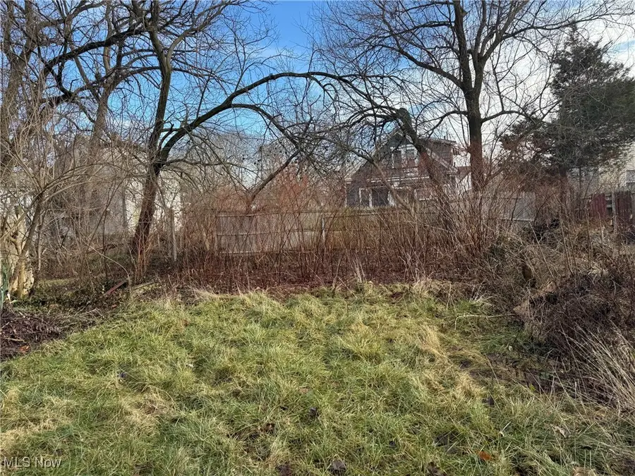 1011 Laurel Avenue, Akron, OH 44307 - Image #3