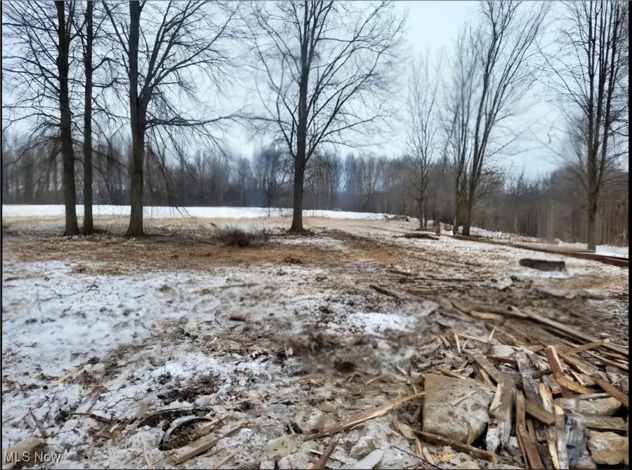 33743 Henwell Road, Columbia Station, OH 44028 - Image #2