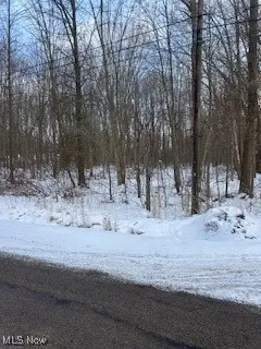 Walter Main Road, Geneva, OH 44041 - #2