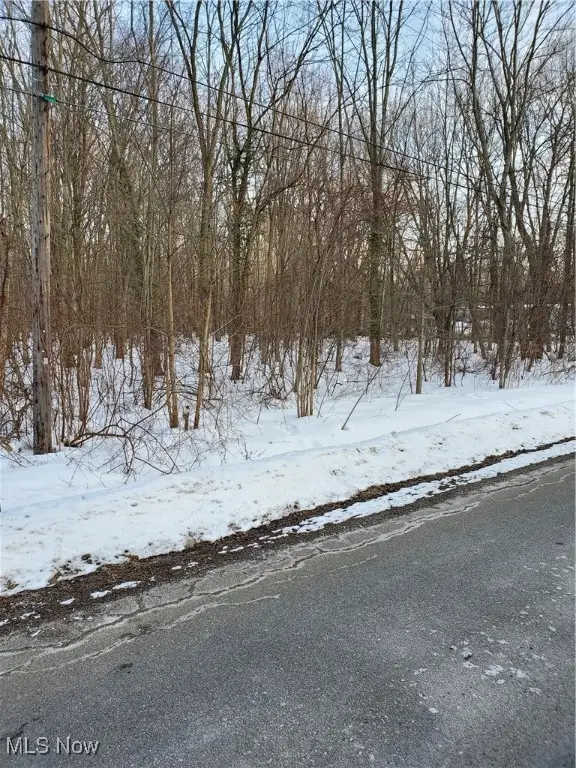 Walter Main Road, Geneva, OH 44041 - #3