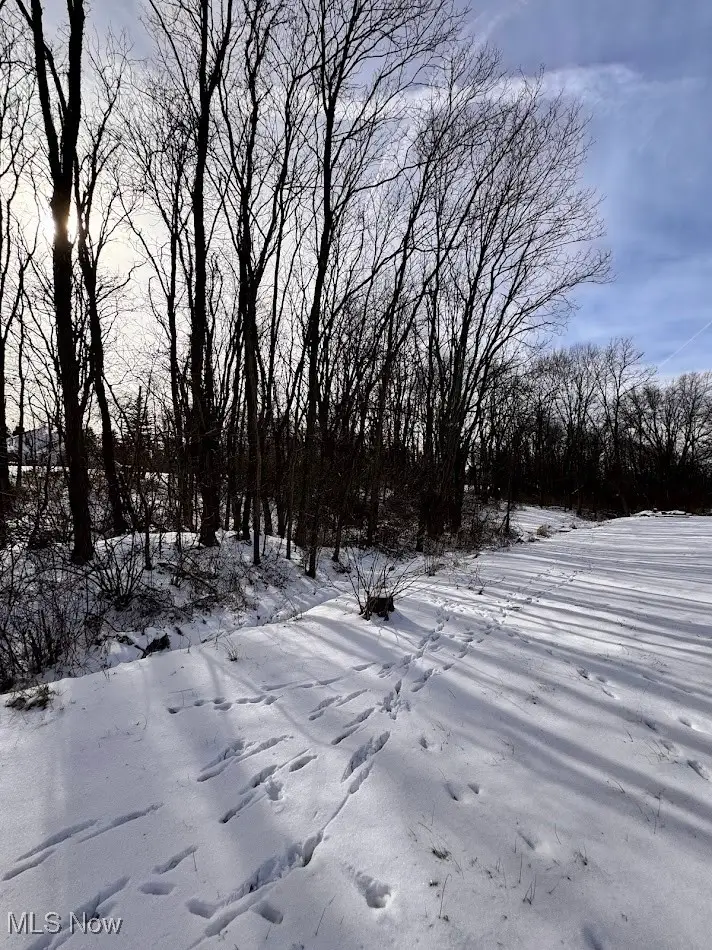 V/L Hartman Road, Wadsworth, OH 44281 - #1