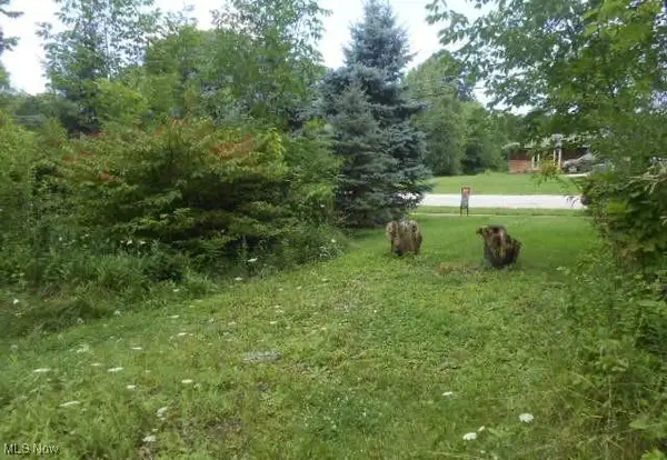 VL Shurmer Road, Strongsville, OH 44136