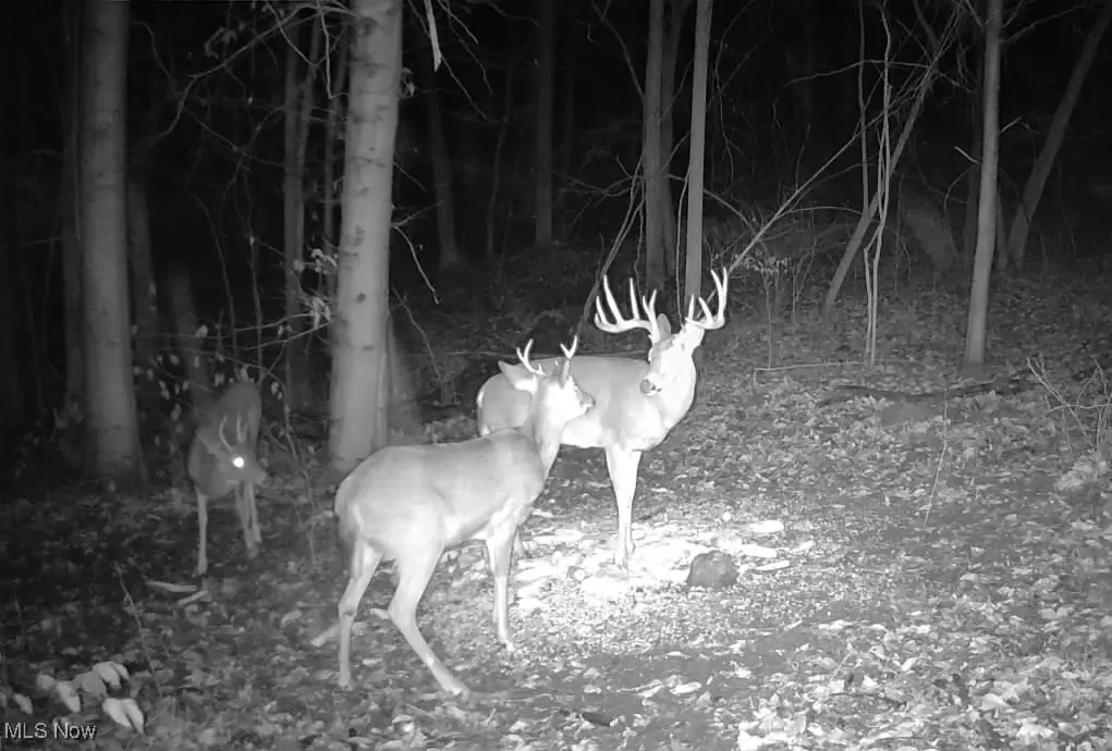 14252 State Route 83, Coshocton, OH 43812 - Image #1