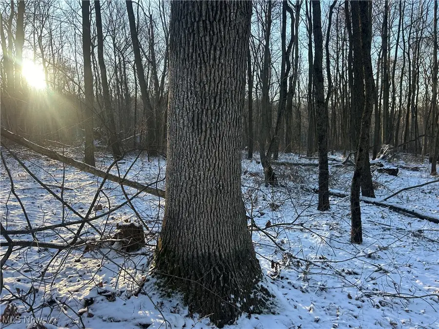 Jug Run Rd, Jackson, OH 43822 - #2