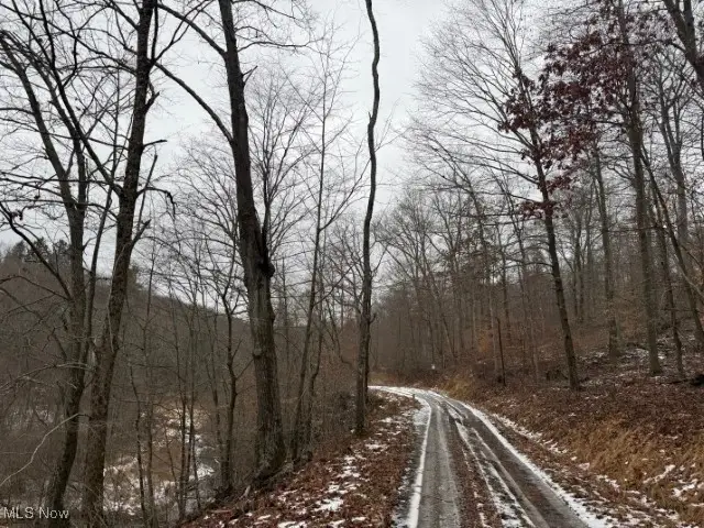 Rear Township Road, Lewisville, OH 43754 - #1