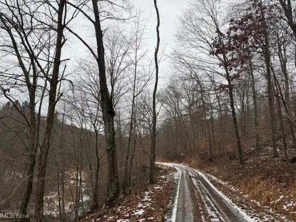 Rear Township Road, Lewisville, OH 43754