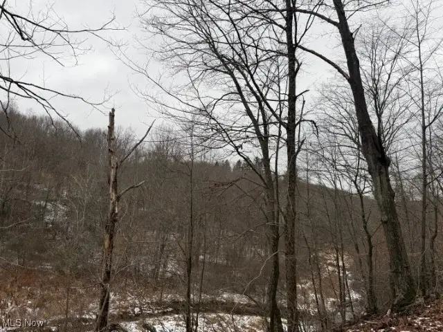 Rear Township Road, Lewisville, OH 43754 - #2