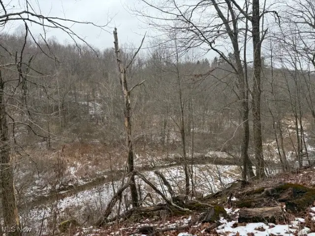 Rear Township Road, Lewisville, OH 43754 - #3