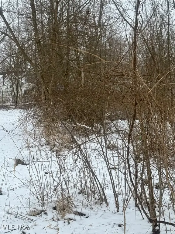 2668 Draper Se Avenue, Warren, OH 44484