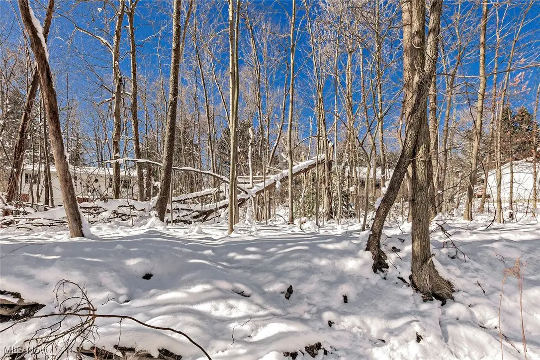 V/L #17 Chillicothe Road, Chagrin Falls, OH 44023 - #1