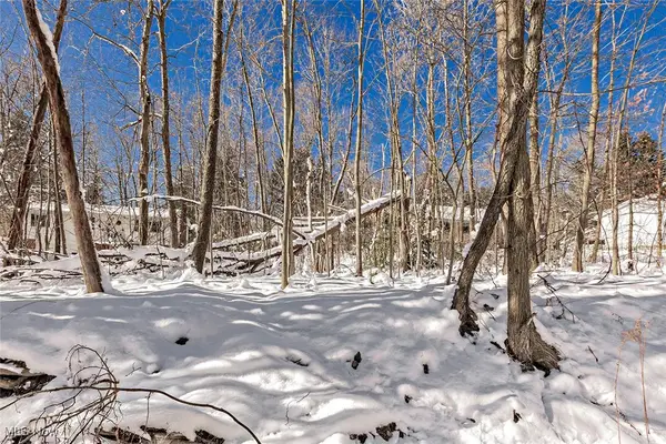 V/L #17 Chillicothe Road, Chagrin Falls, OH 44023