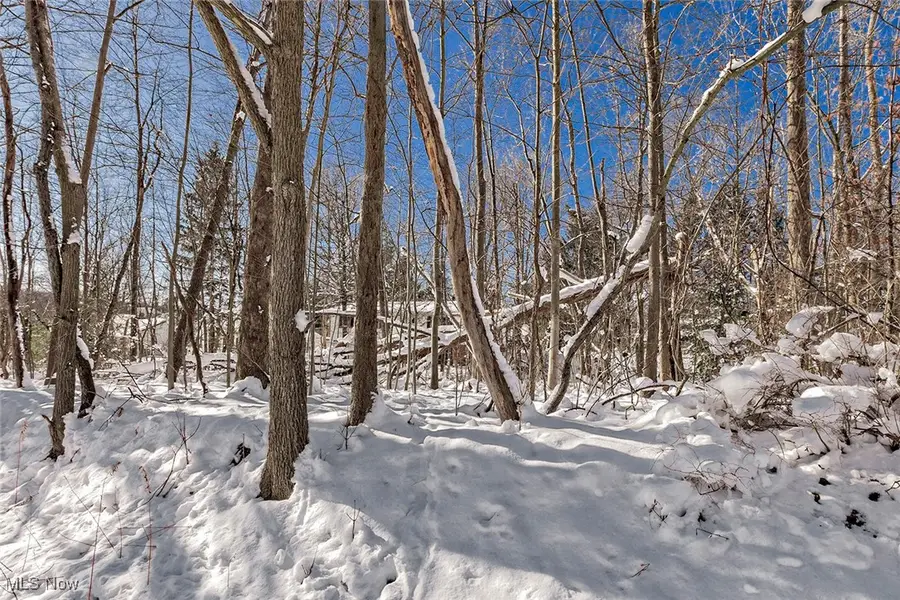 V/L #17 Chillicothe Road, Chagrin Falls, OH 44023 - #2