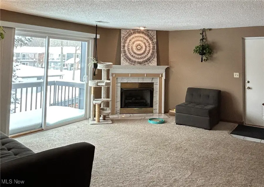 6231 Hidden Creek Drive #233, Lorain, OH 44053 - #3