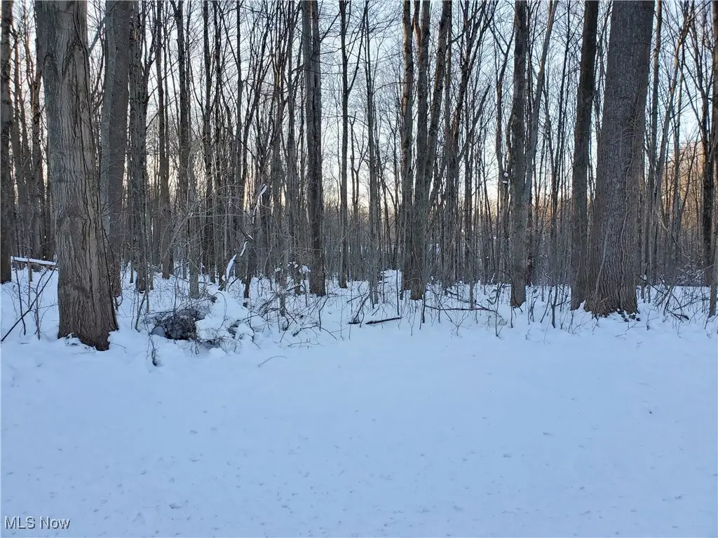 Geauga Lake Road, Chagrin Falls, OH 44023 - #1