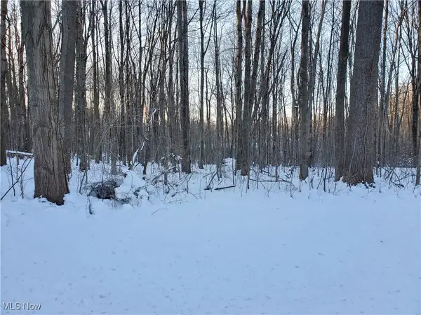 Geauga Lake Road, Chagrin Falls, OH 44023