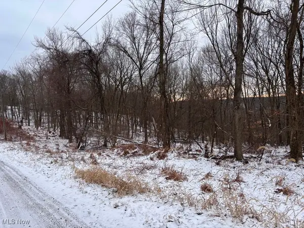 3.4 Acres Oak Drive, New Cumberland, WV 26047