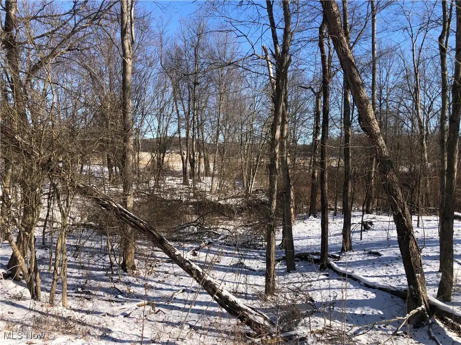 Valleydale Se Avenue, Magnolia, OH 44643 - #3