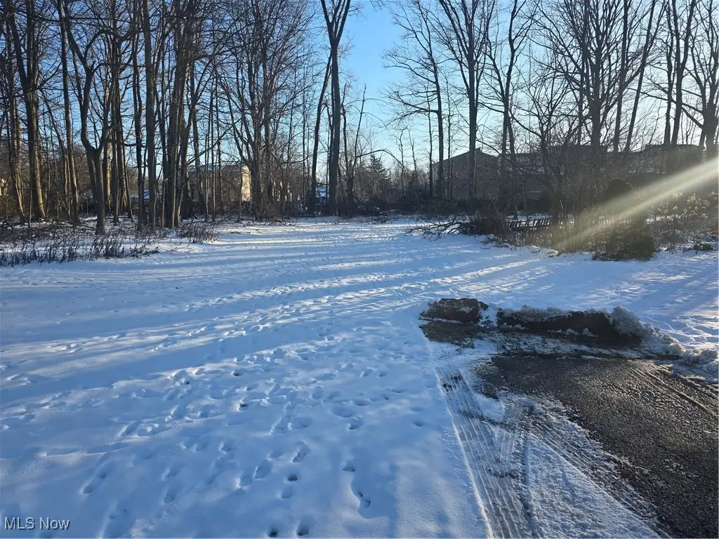 VL#1 Oak Street, Willoughby, OH 44094 - Image #1