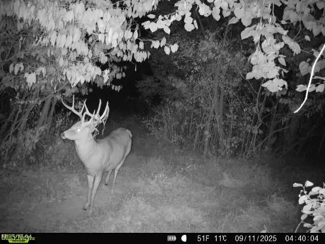 County Road 99, Warsaw, OH 43844 - Image #2