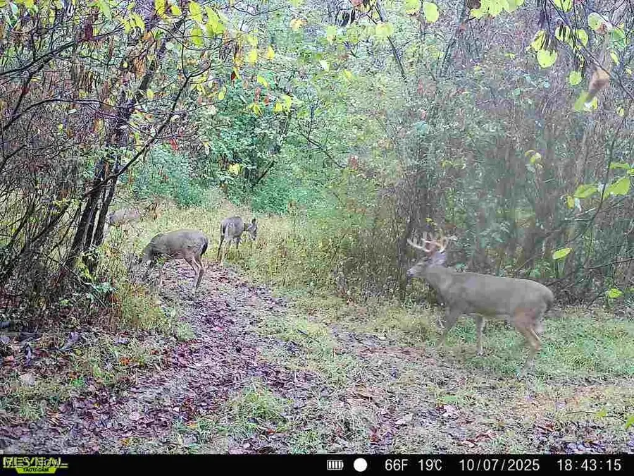 County Road 99, Warsaw, OH 43844 - Image #3