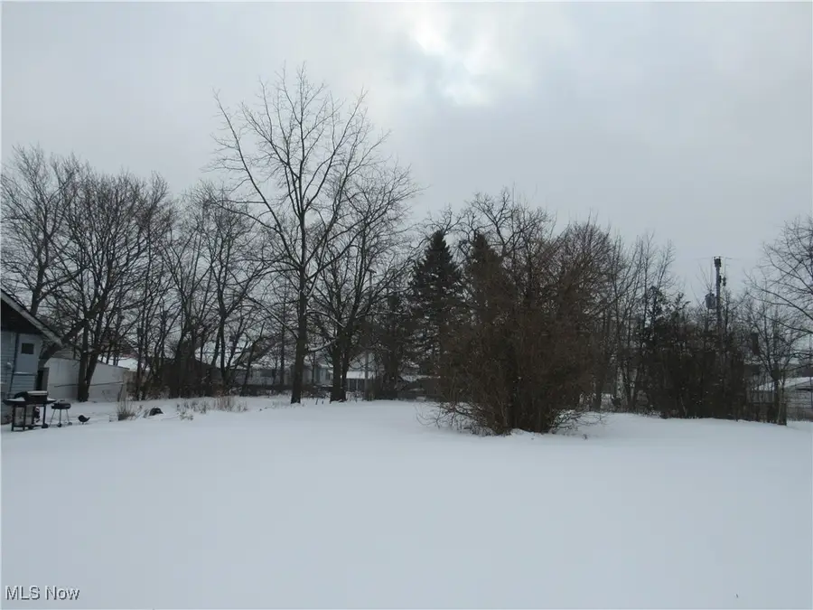 12212 Craven Avenue, Cleveland, OH 44105 - Image #2