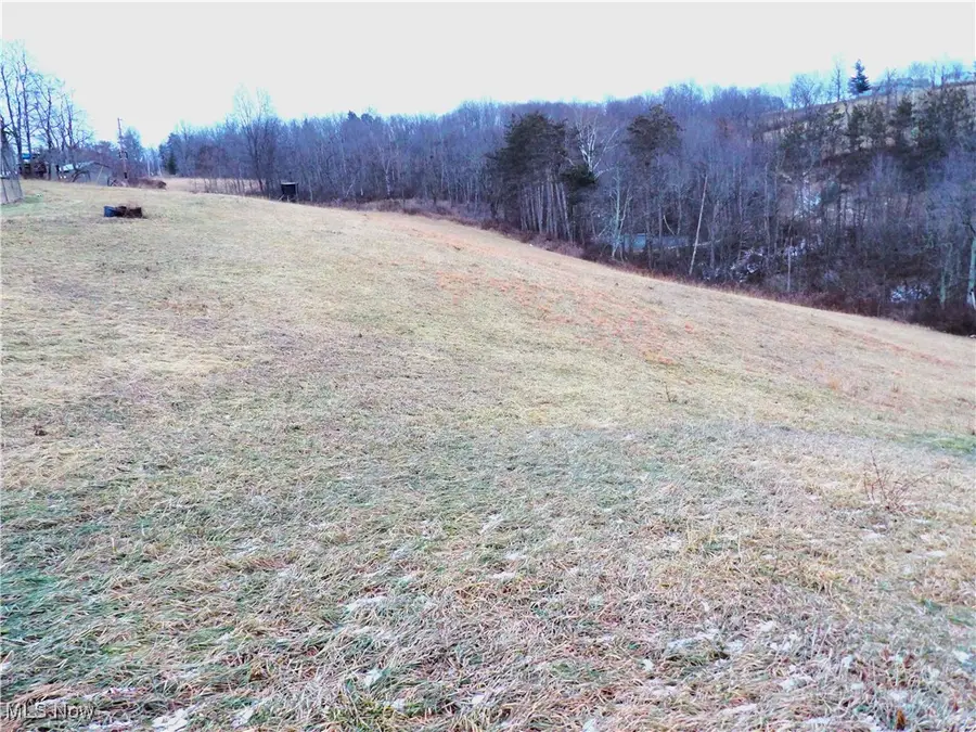 50877 Moore Ridge Road, Jerusalem, OH 43747 - #2