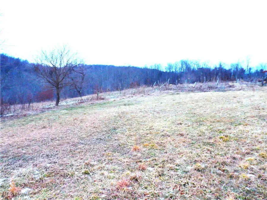 50877 Moore Ridge Road, Jerusalem, OH 43747 - #3