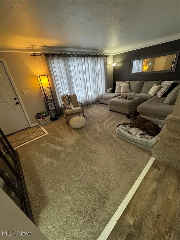 28949 Beechwood Drive, Willowick, OH 44095 - Image #3