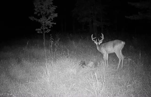 18344 Modoc Road, Glouster, OH 45732 - Image #3