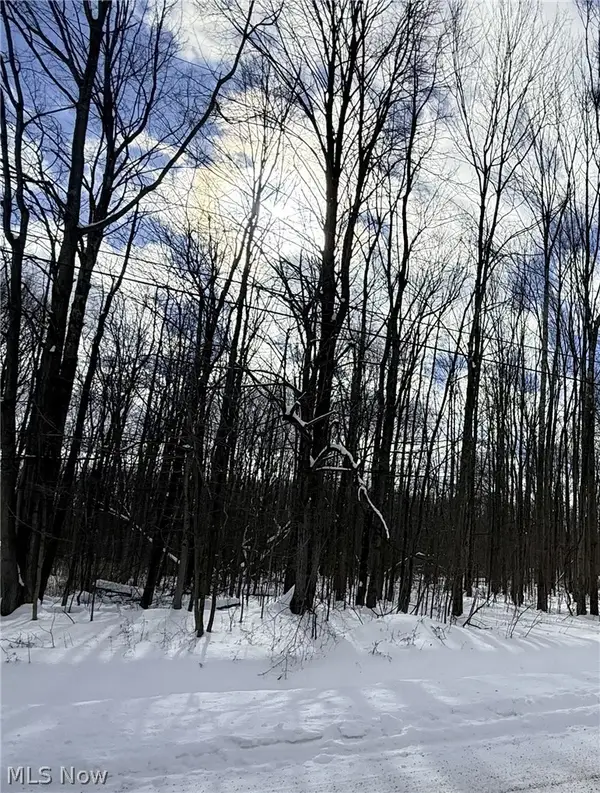 Tompkins Road, Jefferson, OH 44047