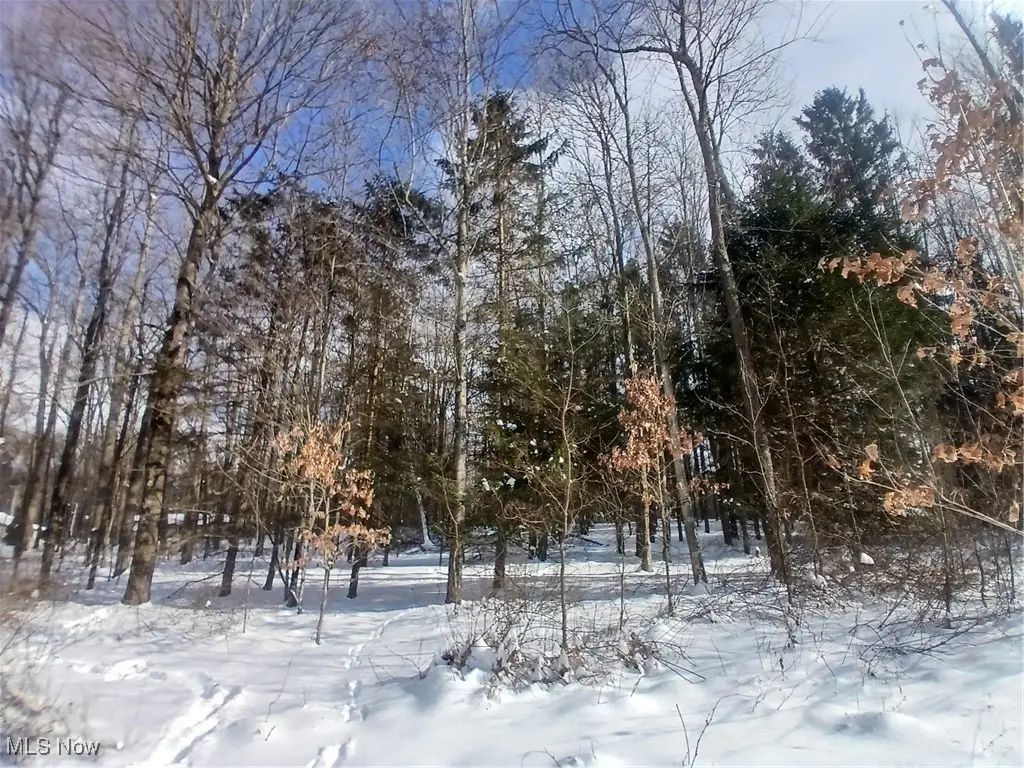 35224 Hull Road, Salineville, OH 43945 - Image #1