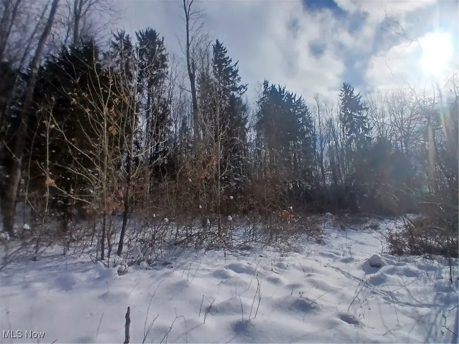 35224 Hull Road, Salineville, OH 43945 - Image #2