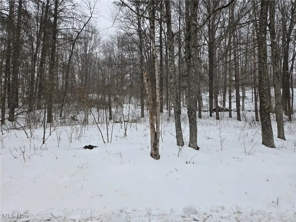 Scott Road, Stockport, OH 43787 - #1