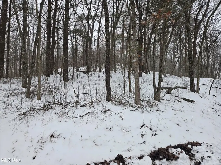 Scott Road, Stockport, OH 43787 - #2