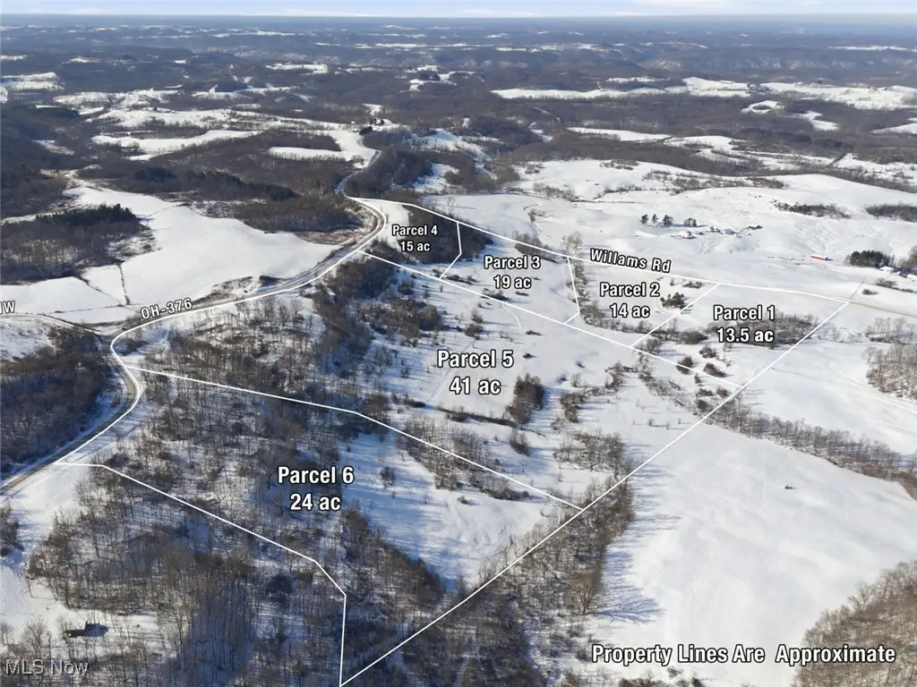 Parcel 1 Willimas Road, McConnelsville, OH 43756 - #1
