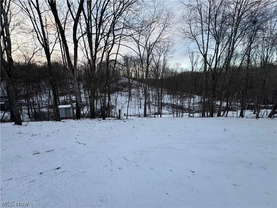 1105 Pacific Ne Road, Carrollton, OH 44615 - #2