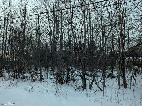 Morgan Road, Montville, OH 44064