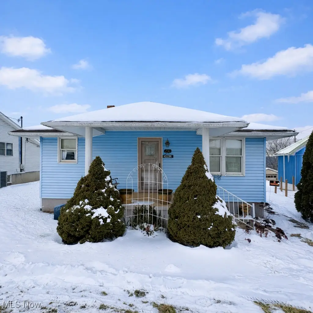 230 Francis Ave, Windsor Heights, WV 26075 - #1