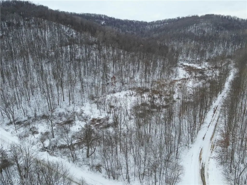 0 Prider Road, Kimbolton, OH 43749 - #1