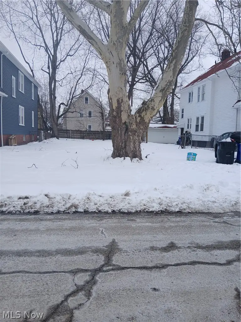 1189 E 146th Street, Cleveland, OH 44110 - #2
