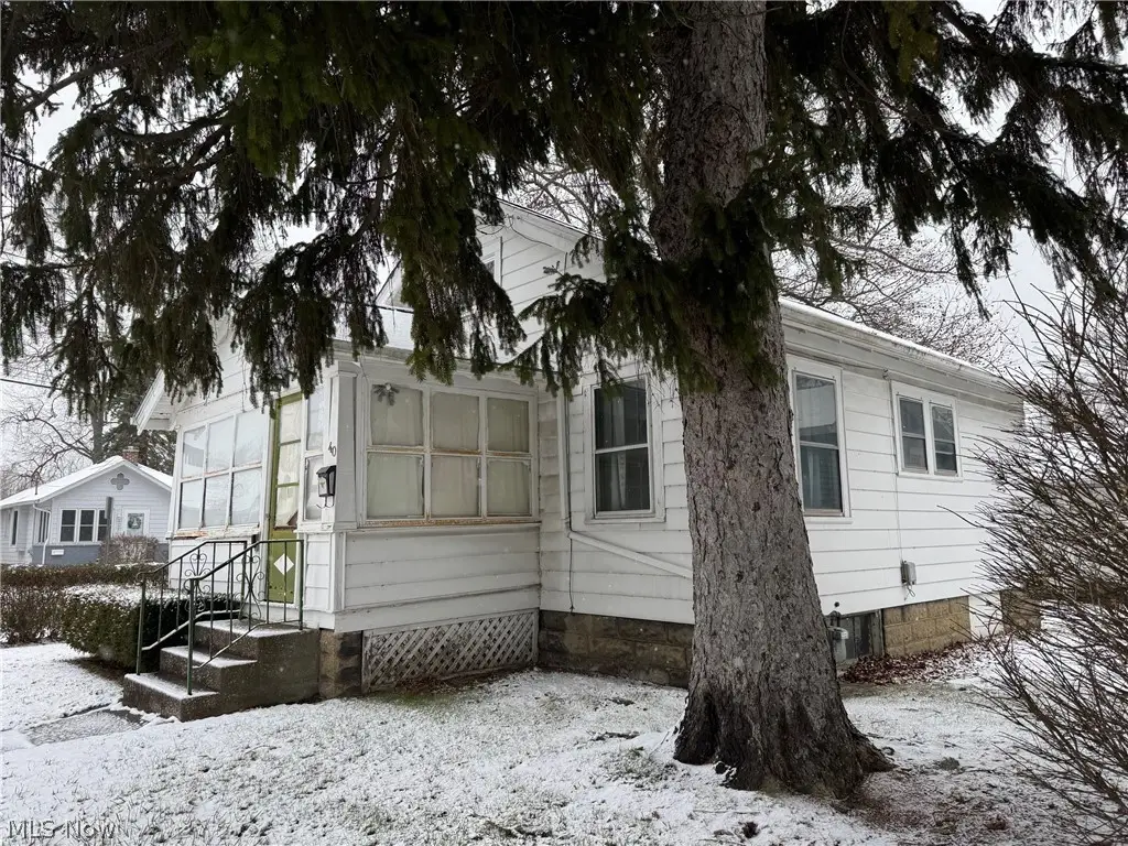 40 E Walnut Avenue, Painesville, OH 44077 - Image #1