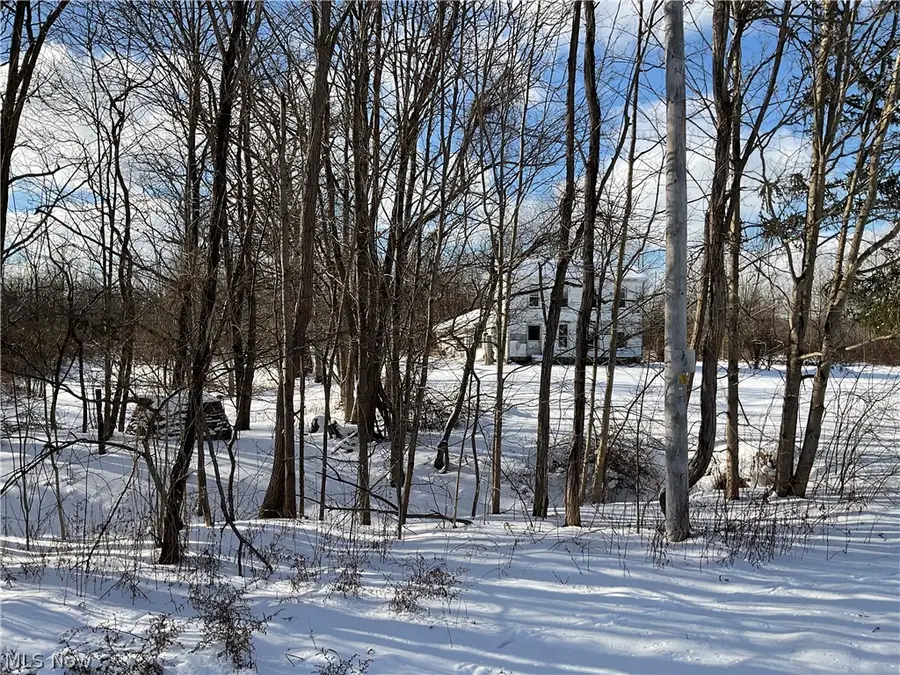 4165 Wheeler Creek Road, Geneva, OH 44041 - #3