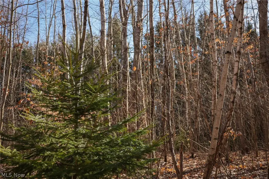 0 Us 322, Williamsfield, OH 44093 - #3