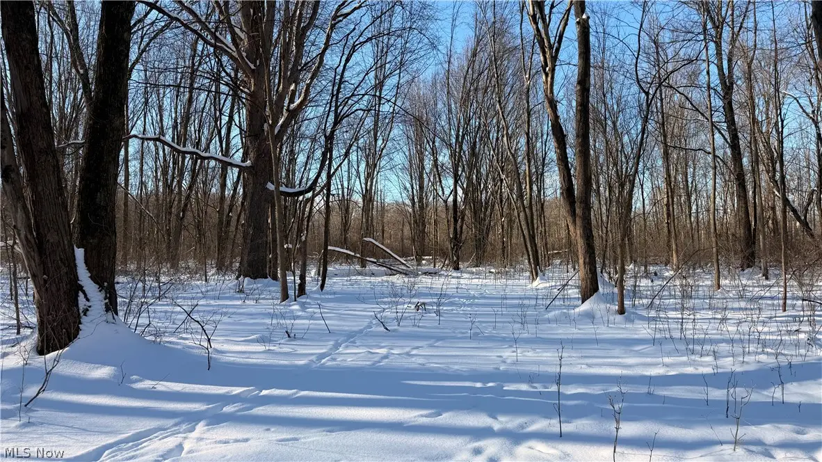 Progress Boulevard, Brimfield, OH 44240 - #1