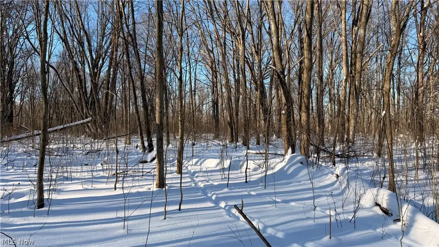 Progress Boulevard, Brimfield, OH 44240 - #3