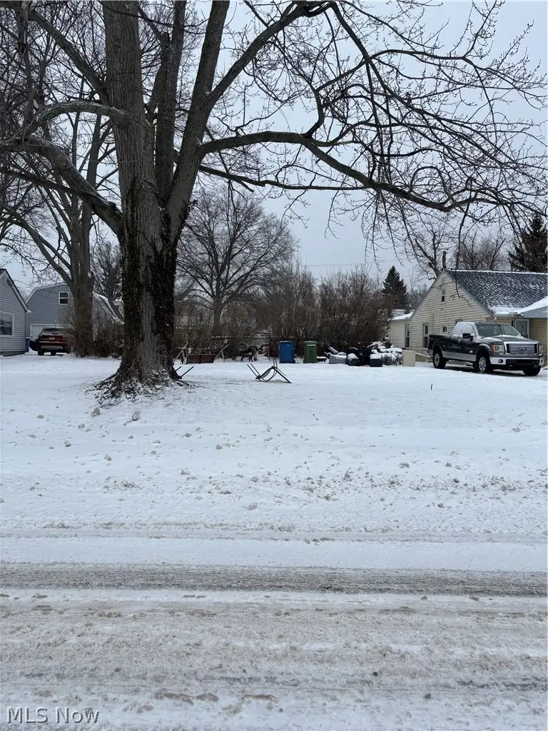 V/L 331st Street, Eastlake, OH 44095 - #1