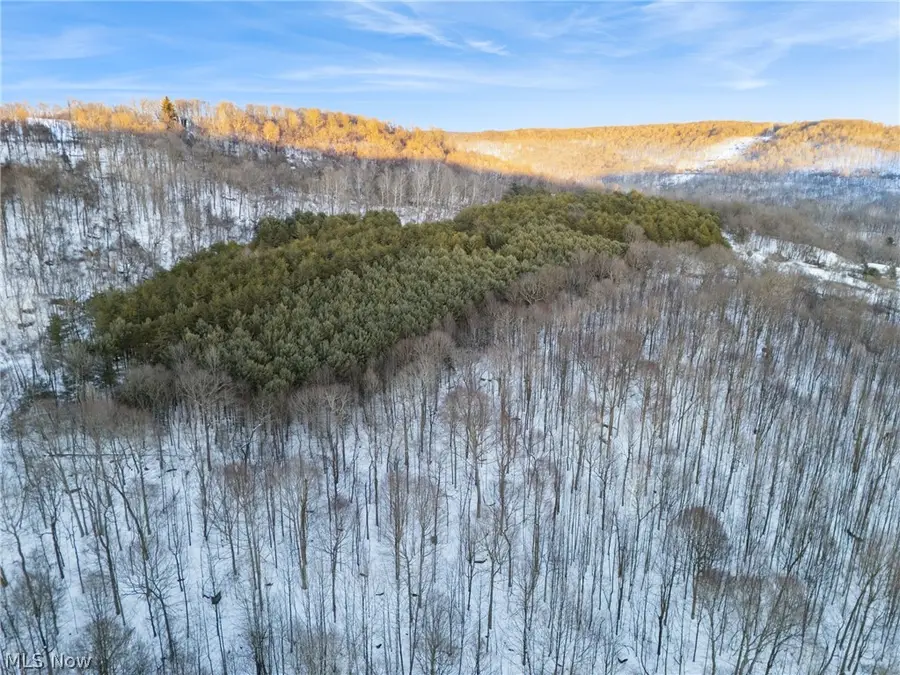 Grimms Bridge Road, East Liverpool, OH 43920 - #2